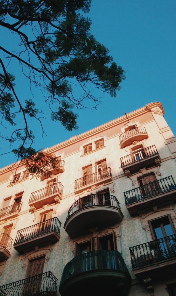 Processed with VSCO with c8 preset