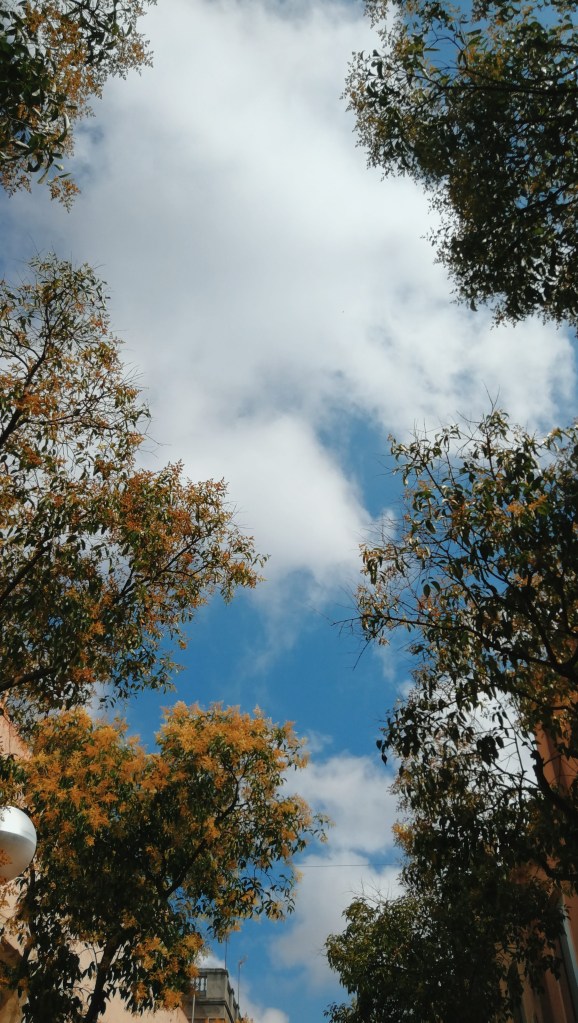 Processed with VSCO with c7 preset